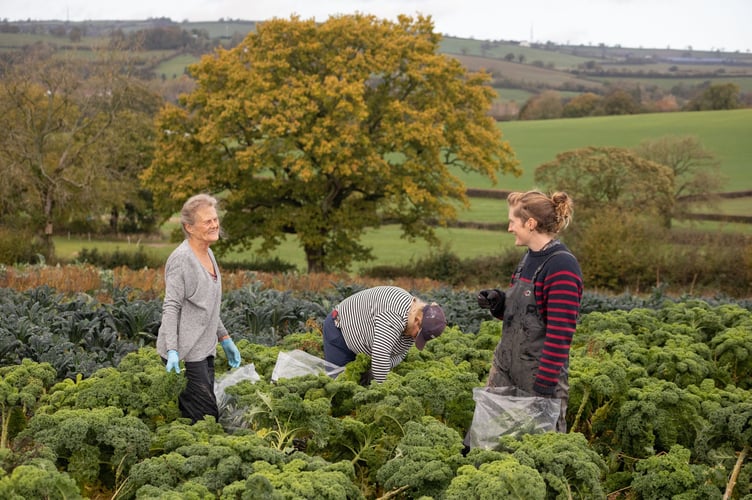 More than 500 supporters have raised £65,000 to secure The Community Farm's future, ensuring continued efforts in climate-friendly farming and community education.