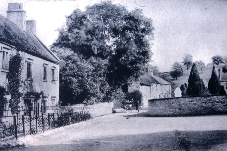 Can you guess this week's Mystery Photograph?