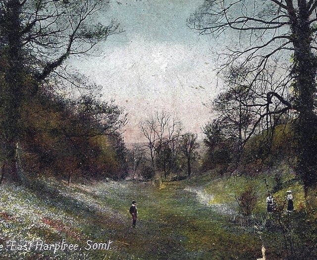 Identify Chew Valley Gazette's mystery location