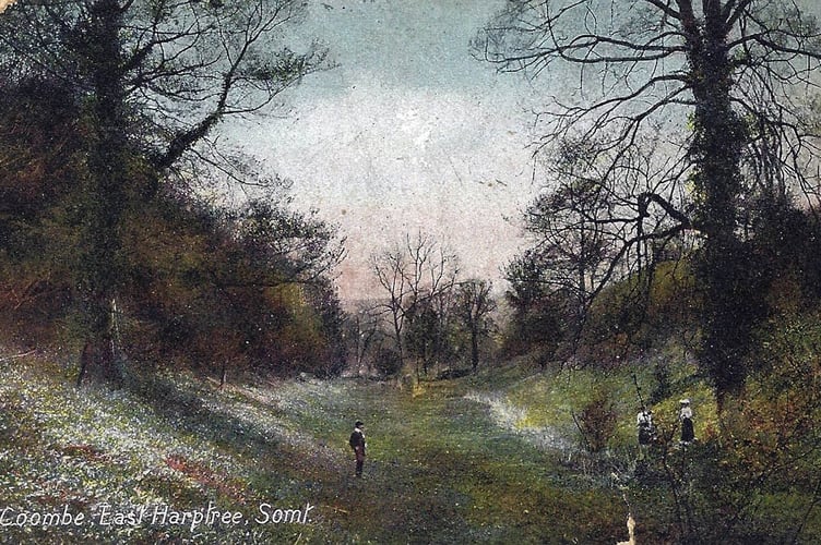 Can you identify the location in this month's Chew Valley Gazette mystery photograph?