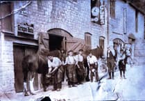 Can you guess this week's Mystery Photograph?