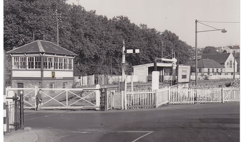 Can you guess this week's Mystery Photograph?