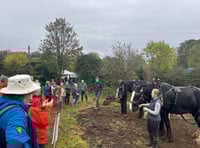 Volunteers invited to plant new woodland