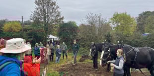 Volunteers invited to plant new woodland
