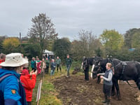 Volunteers invited to plant new woodland