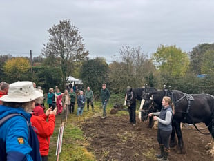 Volunteers invited to plant new woodland