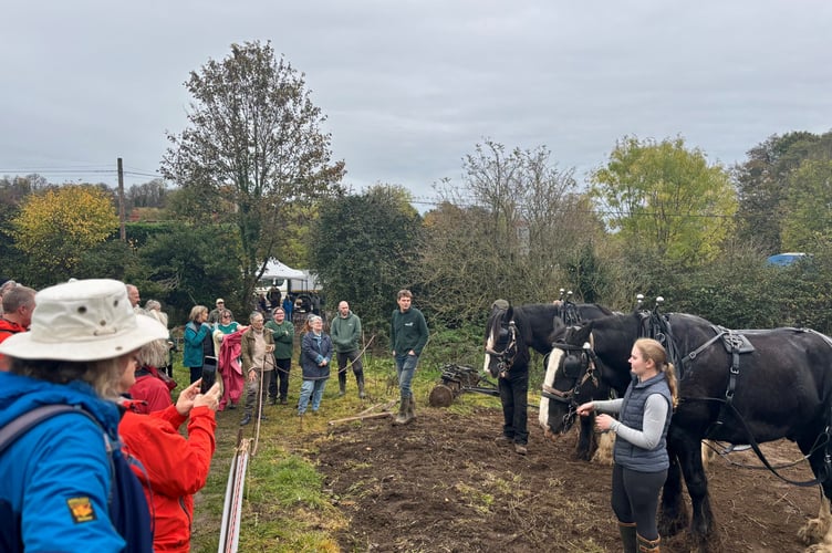 Volunteers are need for community woodland tree planting.