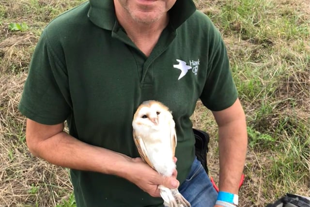 Chance to learn more about owls, status and conservation