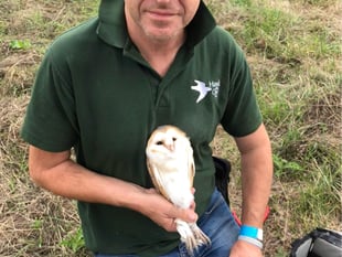 Chance to learn more about owls, status and conservation
