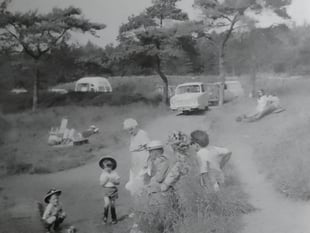 Can you guess this week's Mystery Photograph?