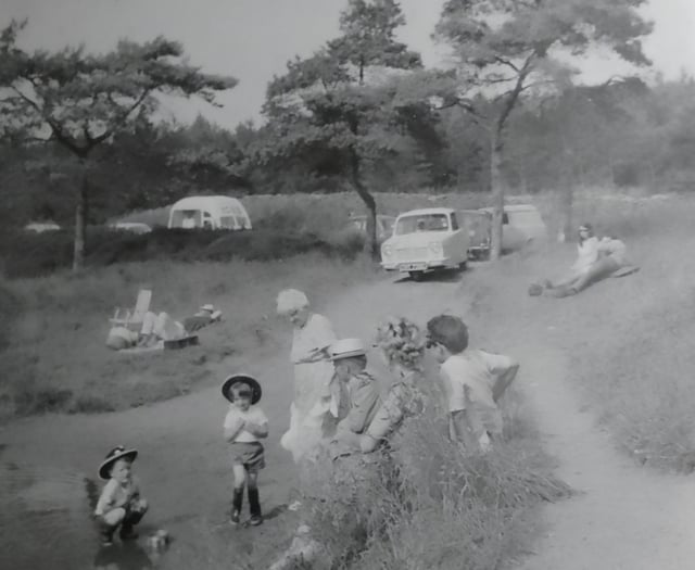 Can you guess this week's Mystery Photograph?