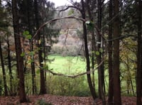 Six week course seeks to connect adults to nature