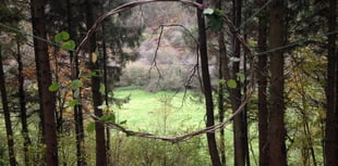 Six week course seeks to connect adults to nature