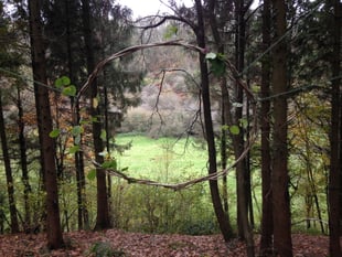 Six week course seeks to connect adults to nature