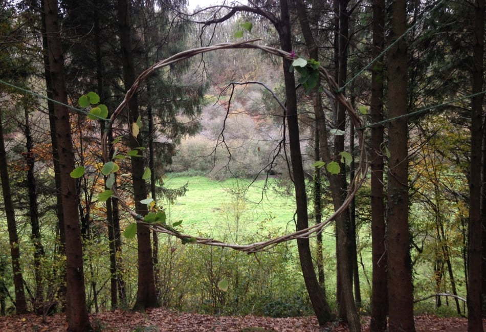 Six week course seeks to connect adults to nature