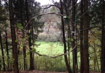 Six week course seeks to connect adults to nature