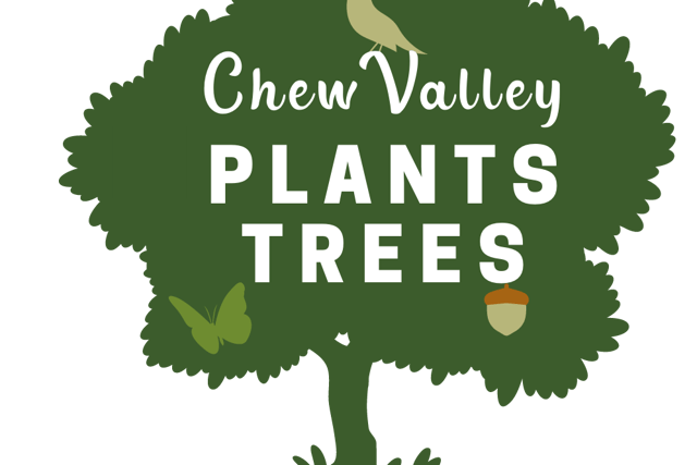 All Things Trees: A regular column from Chew Valley Plants Trees 