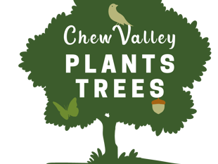All Things Trees: A regular column from Chew Valley Plants Trees 