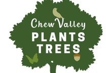 All Things Trees: A regular column from Chew Valley Plants Trees