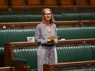 MP wants stronger action on 'nightlife content'