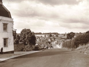 Can you identify this week's mystery photograph?