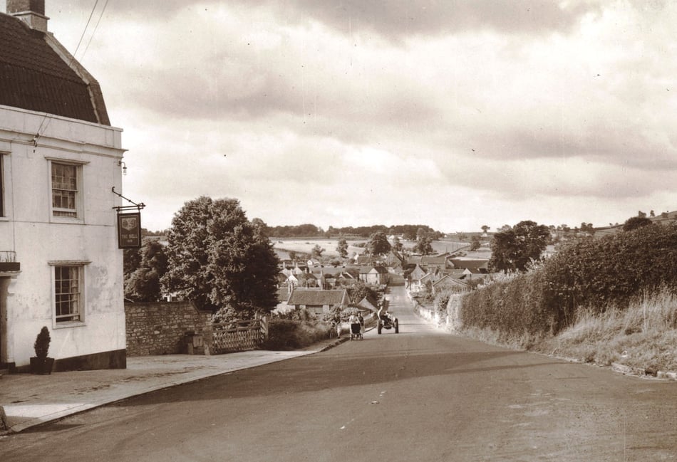 Can you identify this week's mystery photograph?