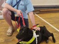 Visually impaired man with Guide Dog ejected from Wetherspoons