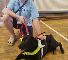 Visually impaired man with Guide Dog ejected from Wetherspoons
