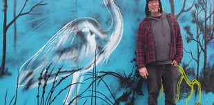 Work of art to improve Frome view