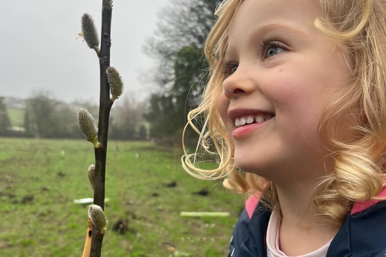 More than 650 people turned out to help plant the saplings in memory of Frome Resident Moko Sellars.