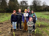Community woodland takes root at Frome's Spring Gardens