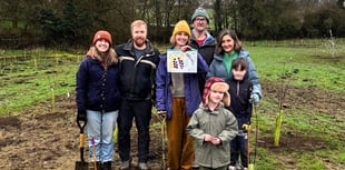 Community woodland takes root at Frome's Spring Gardens
