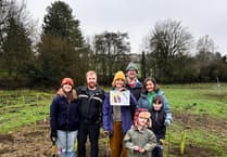 Community woodland takes root at Frome's Spring Gardens