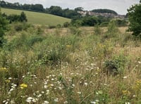 Volunteers needed to survey wildlife