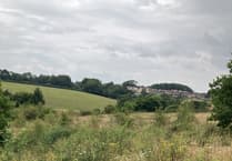 Volunteers needed to survey wildlife