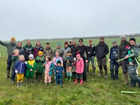 All Things Trees: Hedge planting in Nempnett