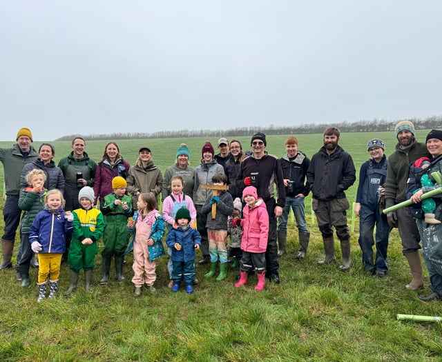 All Things Trees: Hedge planting in Nempnett