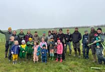 All Things Trees: Hedge planting in Nempnett