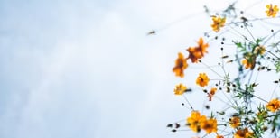 Reflective day of creativity at Ammerdown Centre