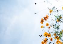 Reflective day of creativity at Ammerdown Centre