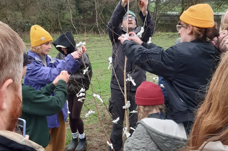 A memorial tree to Moko was planted by her friends and family at the centre of the woodland.