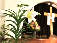 Church group's Easter celebrations for all