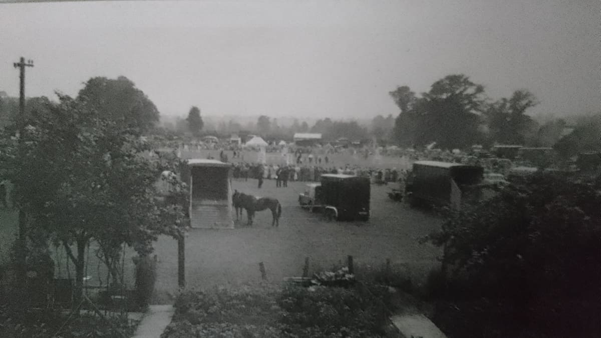 Mystery Photograph: A lovely horsey summer scene but where is it? 