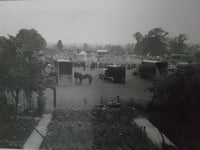Mystery Photograph: A lovely horsey summer scene but where is it? 