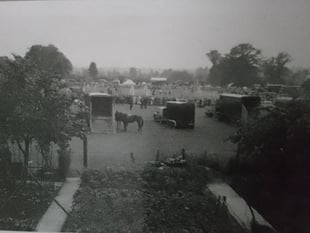 Mystery Photograph: A lovely horsey summer scene but where is it? 