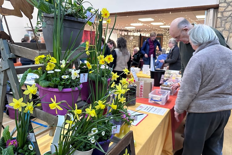 Plenty of Spring flowers were on show at the buzzing event in Timsbury.