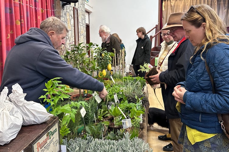 Local Pennard Plants with their tempting range of heritage and organic seeds and plants.