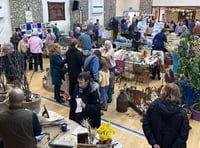Seedy event draws large crowds