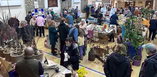 Seedy event draws large crowds