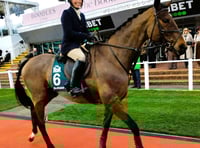 Cheltenham hosts two Chew Valley riders and their ex-racehorses